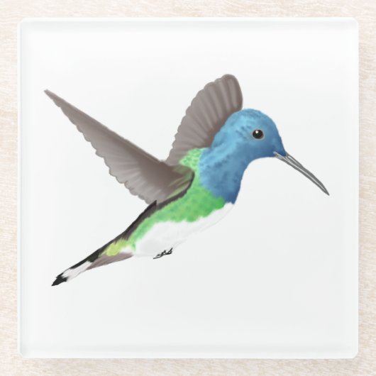 Jacobin Hummingbird, transparant. Glazen Onderzetter (Voorkant)