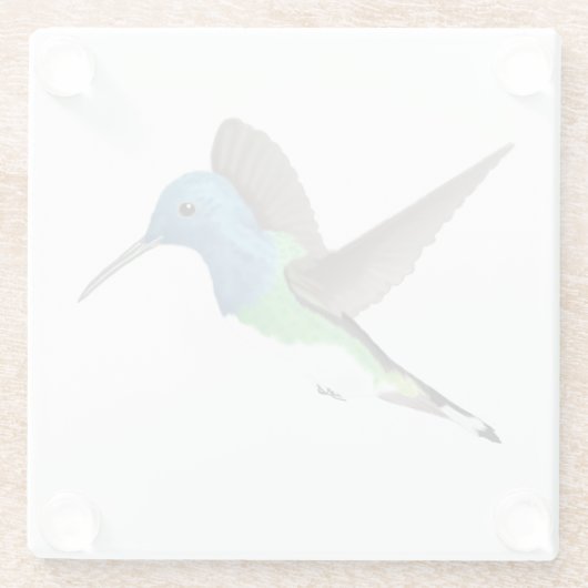 Jacobin Hummingbird, transparant. Glazen Onderzetter (Achterkant)