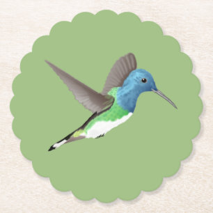 Jacobin Hummingbird, transparant. Kartonnen Onderzetters