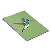 Jacobin Hummingbird, transparant. Notitieboek (Rechterzijde)