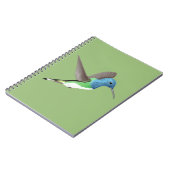 Jacobin Hummingbird, transparant. Notitieboek (Linkerzijde)