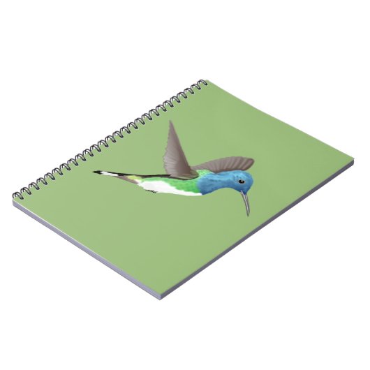 Jacobin Hummingbird, transparant. Notitieboek (Linkerzijde)