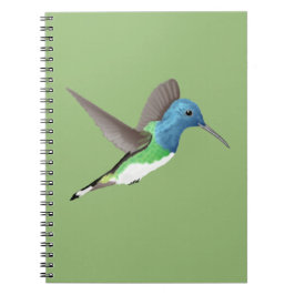 Jacobin Hummingbird, transparant. Notitieboek