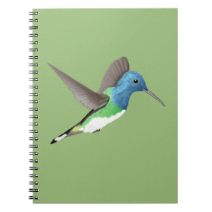 Jacobin Hummingbird, transparant. Notitieboek