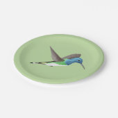 Jacobin Hummingbird, transparant. Papieren Bordje (Gekanteld)