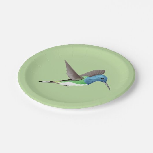 Jacobin Hummingbird, transparant. Papieren Bordje (Gekanteld)