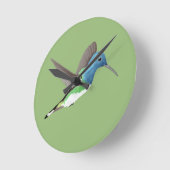 Jacobin Hummingbird, transparant. Ronde Klok (Hoek)