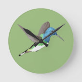 Jacobin Hummingbird, transparant. Ronde Klok (Voorkant)