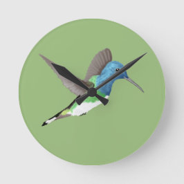 Jacobin Hummingbird, transparant. Ronde Klok
