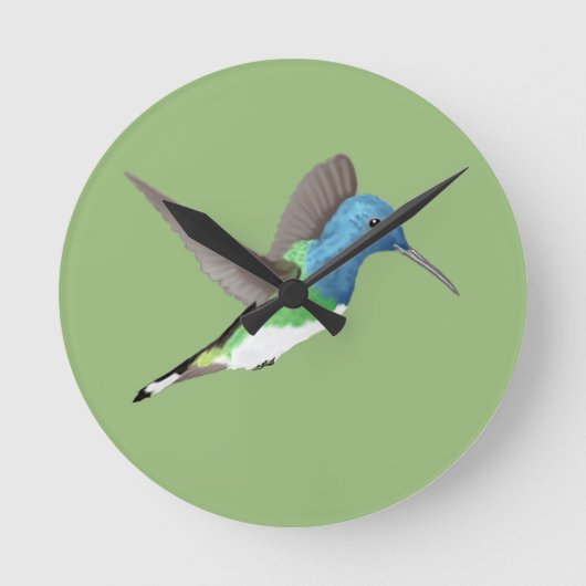 Jacobin Hummingbird, transparant. Ronde Klok (Voorkant)