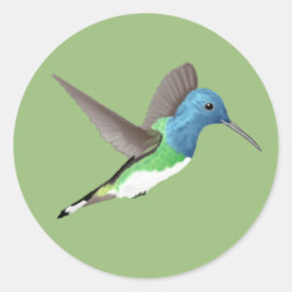 Jacobin Hummingbird, transparant. Ronde Sticker