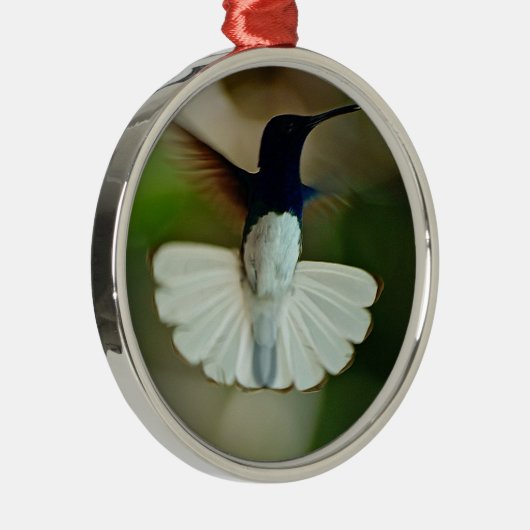 Jacobin in flight metalen ornament (Rechts)