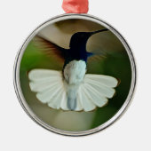 Jacobin in vlucht metalen ornament (Voorkant)