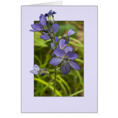 Jacob's Ladder - 5" x 7" Art Kaart (Voorkant)