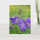 Jacob's ladderkaart kaart (Achterkant)