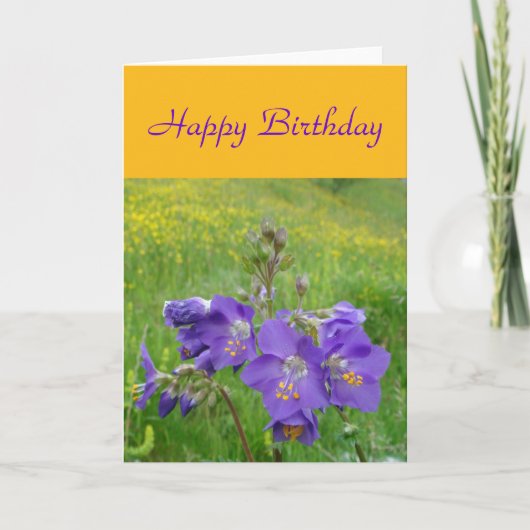 Jacob's ladderkaart kaart (Voorkant)