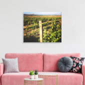 Jacuzzi Wijngaarden in de druiven Canvas Afdruk (Insitu (Woonkamer))