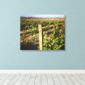 Jacuzzi Wijngaarden in de druiven Canvas Afdruk (Insitu (Houten vloer))