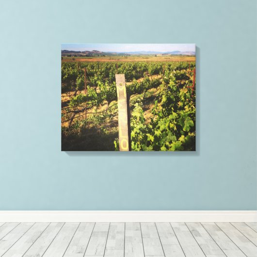 Jacuzzi Wijngaarden in de druiven Canvas Afdruk (Insitu (Houten vloer))