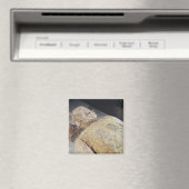 Jade-begrafenispak Magneet (Insitu (Vaatwasser))