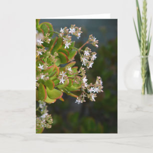 Jade bloemen foto kaart