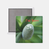 Jade Pleasure Magneet (Voorkant / Achterkant)