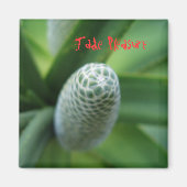 Jade Pleasure Magneet (Voorkant)