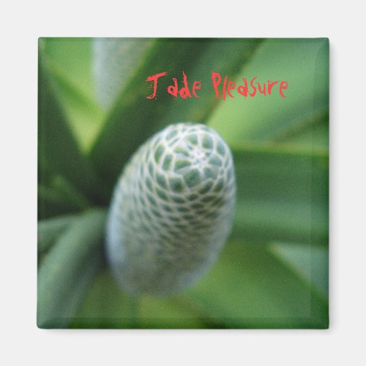 Jade Pleasure Magneet (Voorkant)