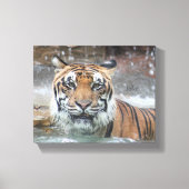 Jafar Canvas Afdruk (Voorkant)