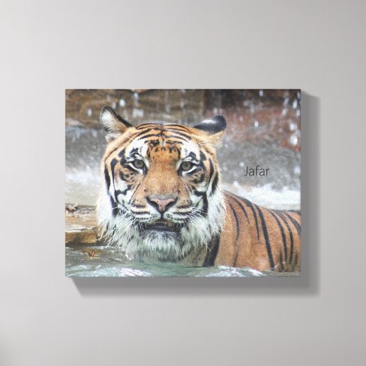 Jafar Canvas Afdruk (Voorkant)