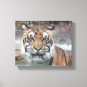 Jafar Canvas Afdruk (Voorkant)