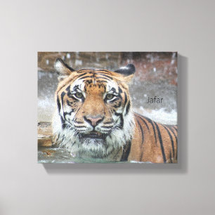 Jafar Canvas Afdruk