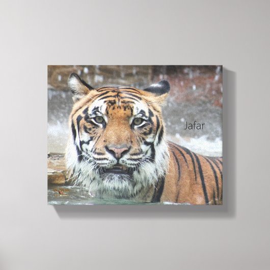 Jafar Canvas Afdruk (Voorkant)