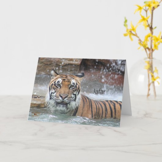 Jafar Kaart (Gele Bloem)