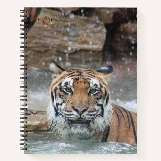 Jafar Notitieboek (Voorkant)