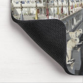 Jag Mindar Palace, Lake Pichola, Udaipur, India. Muismat (Hoek)