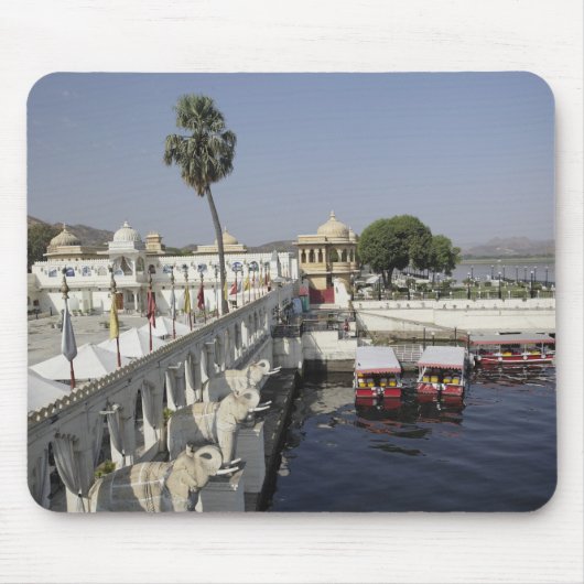 Jag Mindar Palace, Lake Pichola, Udaipur, India. Muismat (Voorkant)