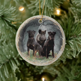 Jagdanger, dappere poster acryl keramisch ornament