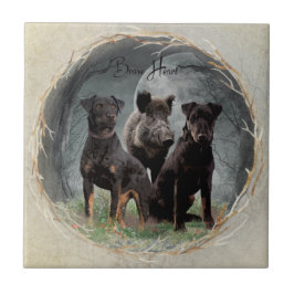 Jagdanger, dappere poster acryl tegeltje