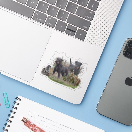 Jagddooder , Bo tegen Renbrad Kennel." Sticker (Laptop met iPhone)