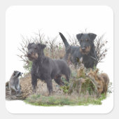 Jagddooder , Bo tegen Renbrad Kennel.' Sticker (Voorkant)