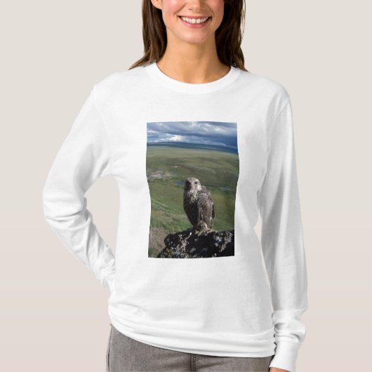 jagdfalcon, Falco rusticolus, juveniel T-shirt (Voorkant)