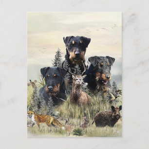 Jagdterriers v. Renbrad Kennel Briefkaart