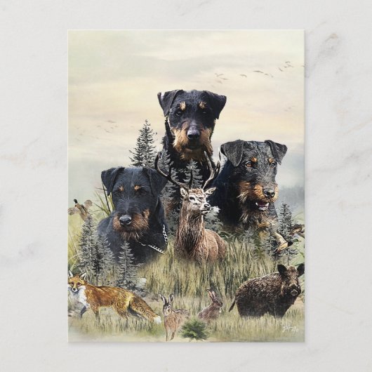 Jagdterriers v. Renbrad Kennel Briefkaart (Voorkant)
