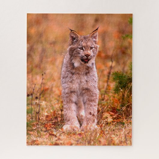 Jagen met een rode lynx | Herfst bos Legpuzzel (Verticaal)