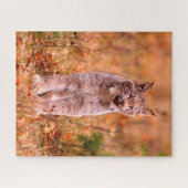 Jagen met een rode lynx | Herfst bos Legpuzzel (Horizontaal)