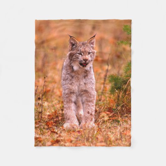 Jagen met een rode lynx | Herfstbos Fleece Deken (Voorkant)