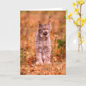 Jagen met een rode lynx | Herfstbos Kaart (Gele Bloem)