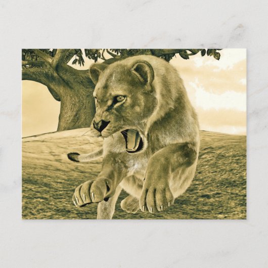 Jagen op leeuwin briefkaart (Voorkant)