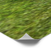 Jagen op leeuwin poster (Hoek)